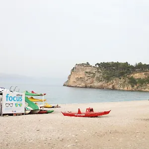 Rosa Castellammare del Golfo